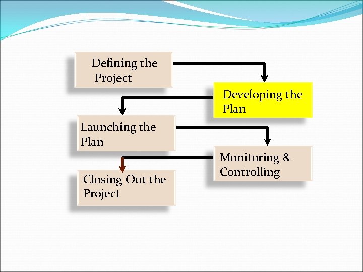 Defining the Scoping the Project Developing the Plan Launching the Plan Closing Out the