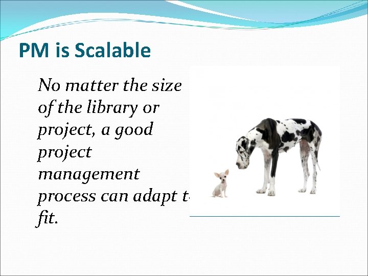 PM is Scalable No matter the size of the library or project, a good PM is Scalable No matter the size of the library or project, a good