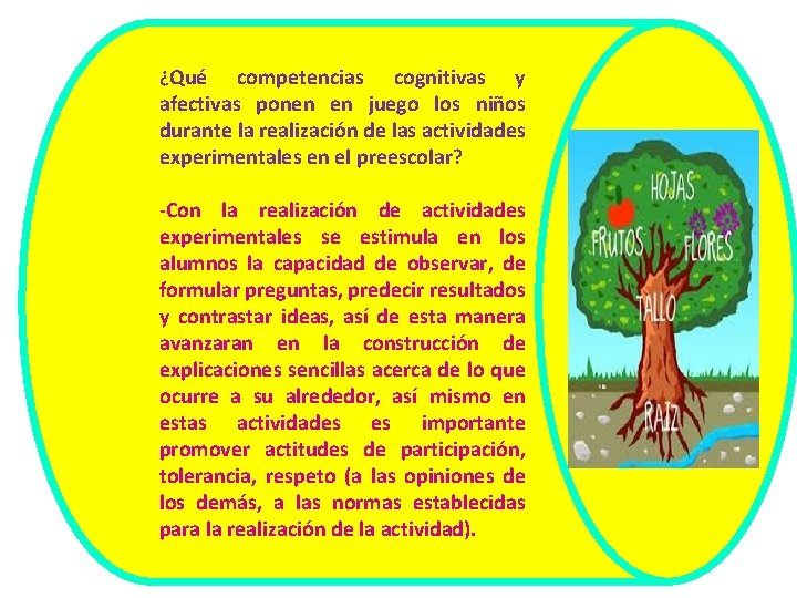 ¿Qué competencias cognitivas y afectivas ponen en juego los niños durante la realización de ¿Qué competencias cognitivas y afectivas ponen en juego los niños durante la realización de