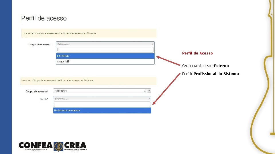 Perfil de Acesso Grupo de Acesso: Externo Perfil: Profissional do Sistema 