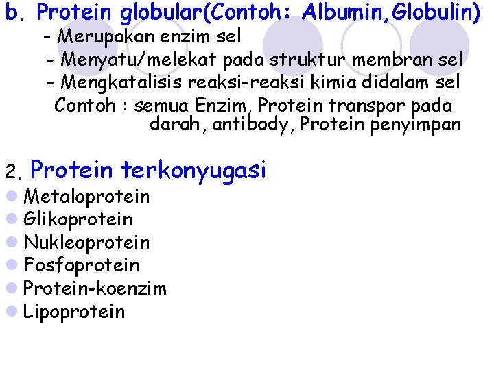 b. Protein globular(Contoh: Albumin, Globulin) - Merupakan enzim sel - Menyatu/melekat pada struktur membran