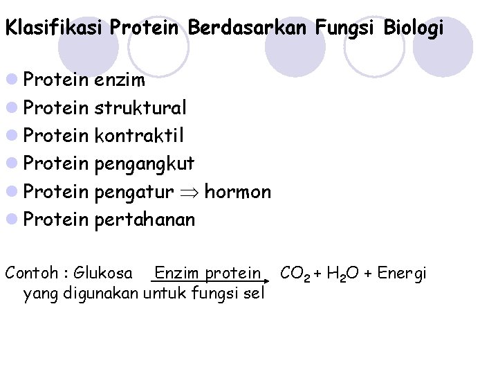 Klasifikasi Protein Berdasarkan Fungsi Biologi l Protein enzim l Protein struktural l Protein kontraktil