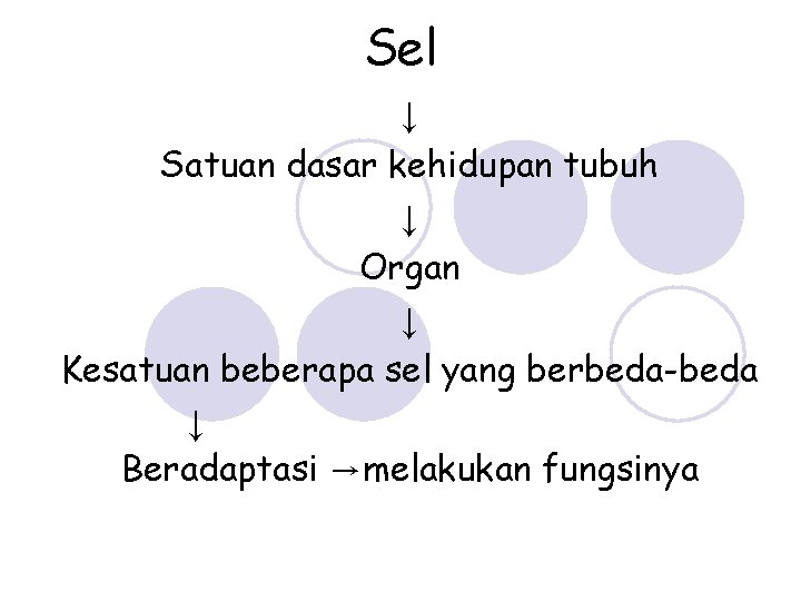 Sel ↓ Satuan dasar kehidupan tubuh ↓ Organ ↓ Kesatuan beberapa sel yang berbeda-beda