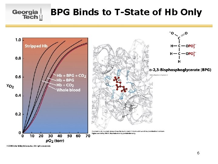 SURVEY OF BIOCHEMISTRY Protein Function 1 O 2