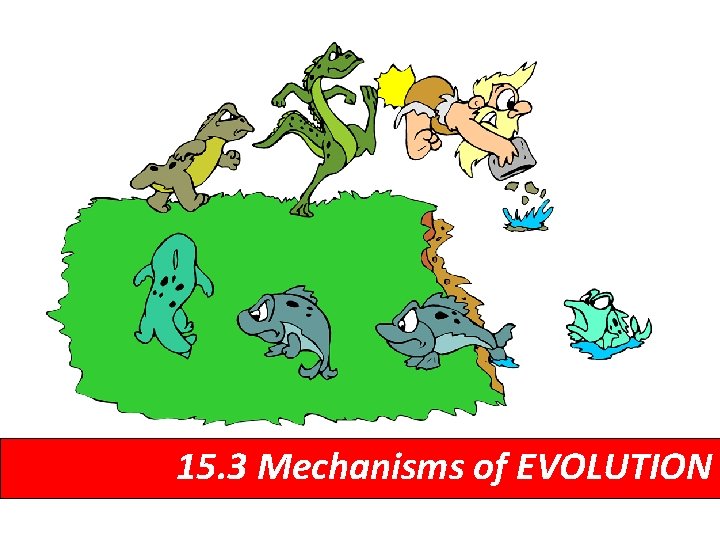 15. 3 Mechanisms of EVOLUTION 