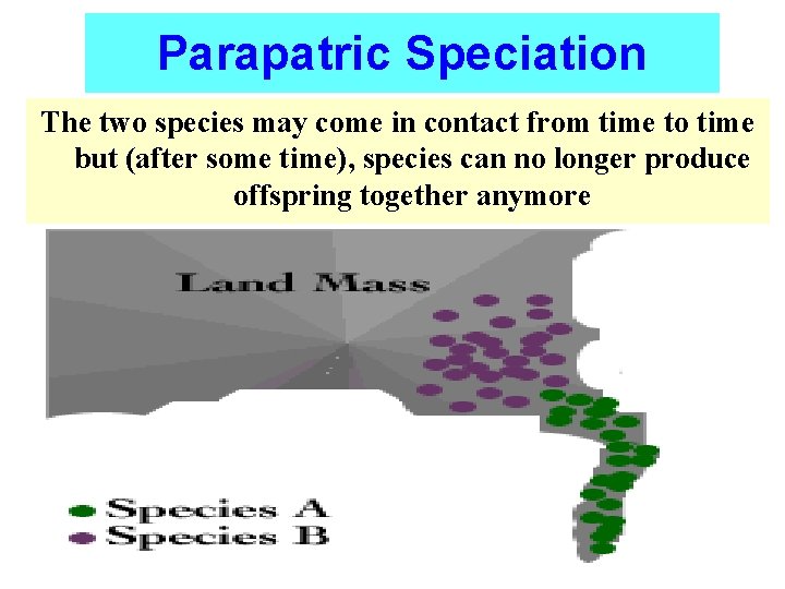 Parapatric Speciation The two species may come in contact from time to time but