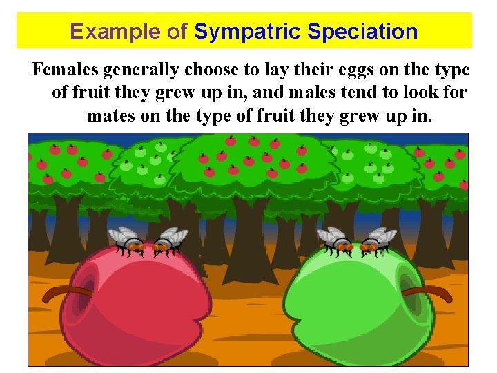 Example of Sympatric Speciation Females generally choose to lay their eggs on the type