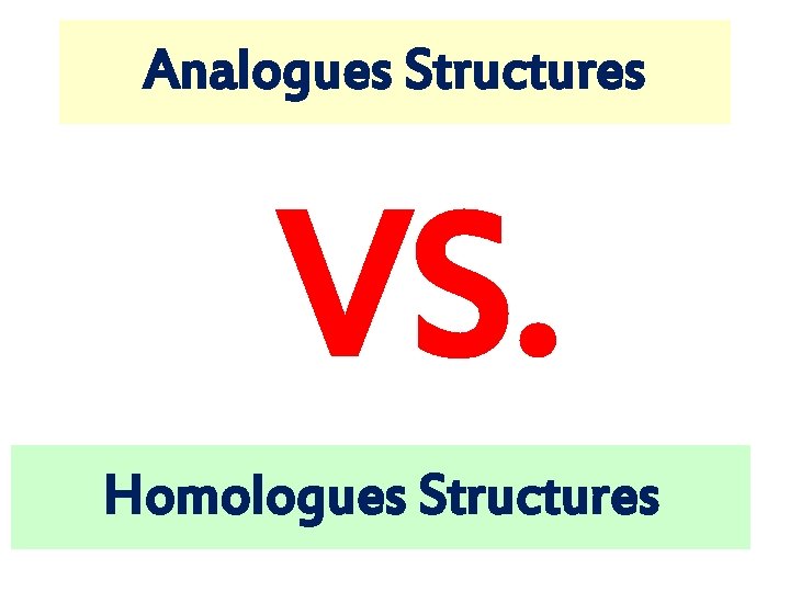 Analogues Structures VS. Homologues Structures 