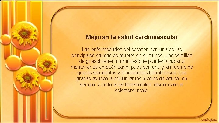 Mejoran la salud cardiovascular Las enfermedades del corazón son una de las principales causas