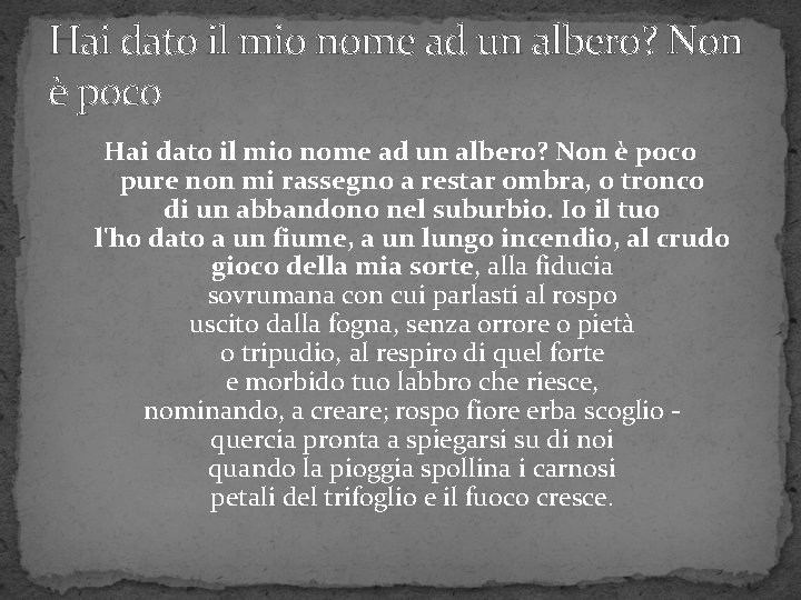 Hai dato il mio nome ad un albero? Non è poco pure non mi