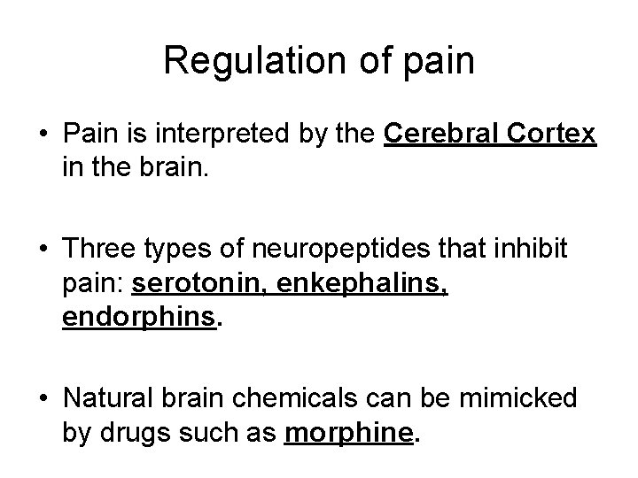 Regulation of pain • Pain is interpreted by the Cerebral Cortex in the brain.