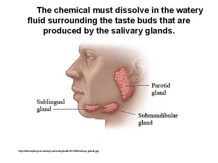 The chemical must dissolve in the watery fluid surrounding the taste buds that are