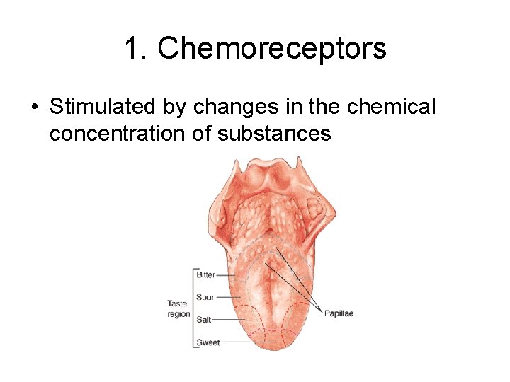 1. Chemoreceptors • Stimulated by changes in the chemical concentration of substances 