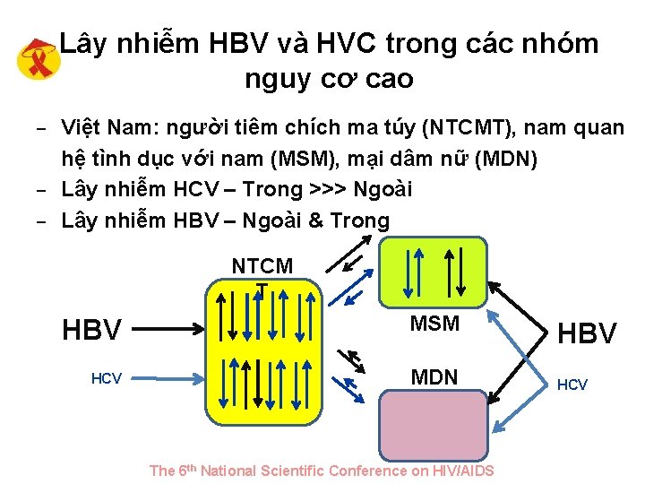 Lây nhiễm HBV và HVC trong các nhóm nguy cơ cao – Việt Nam: