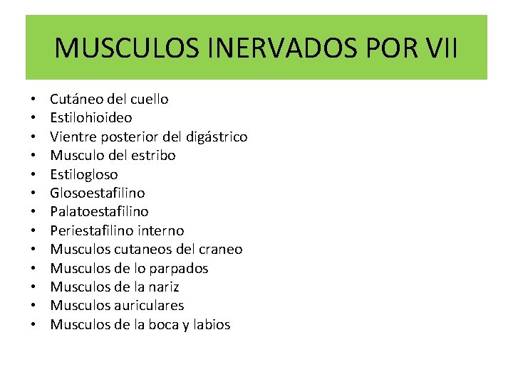 MUSCULOS INERVADOS POR VII • • • • Cutáneo del cuello Estilohioideo Vientre posterior
