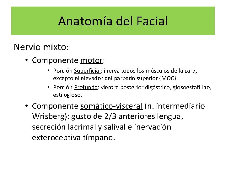 Anatomía del Facial Nervio mixto: • Componente motor: • Porción Superficial: inerva todos los