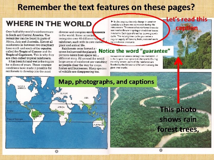 Remember the text features on these pages? Let’s read this caption Notice the word Remember the text features on these pages? Let’s read this caption Notice the word