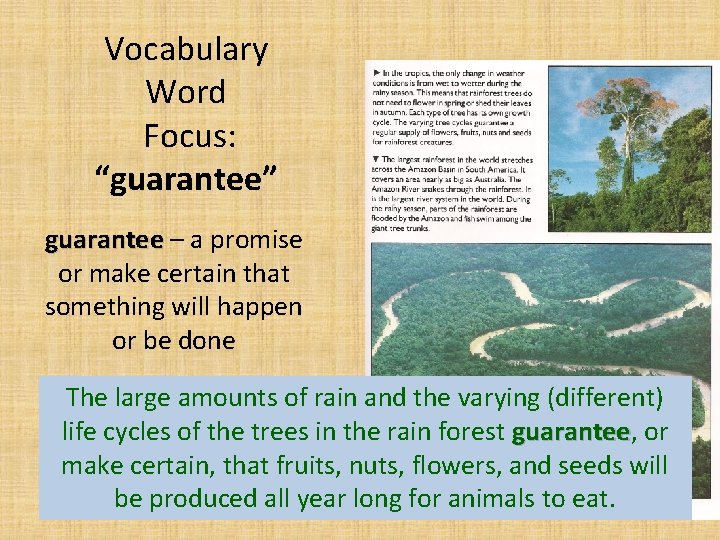 Vocabulary Word Focus: “guarantee” guarantee – a promise or make certain that something will Vocabulary Word Focus: “guarantee” guarantee – a promise or make certain that something will