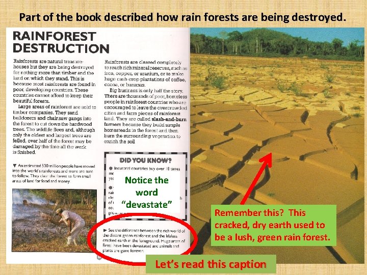 Part of the book described how rain forests are being destroyed. Notice the word Part of the book described how rain forests are being destroyed. Notice the word