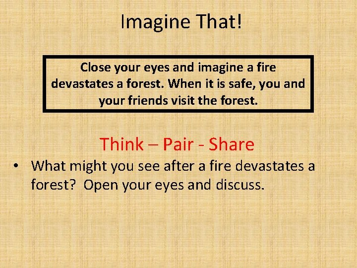 Imagine That! Close your eyes and imagine a fire devastates a forest. When it Imagine That! Close your eyes and imagine a fire devastates a forest. When it