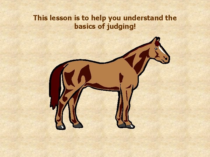 This lesson is to help you understand the basics of judging! 