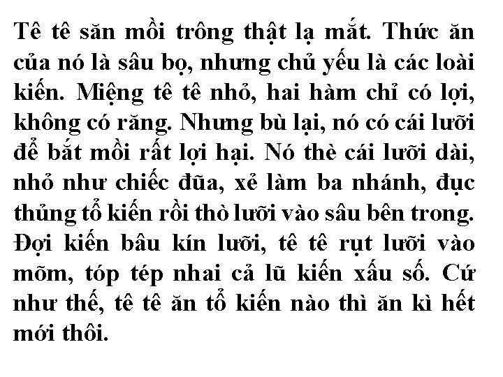 Tê tê săn mồi trông thật lạ mắt. Thức ăn của nó là sâu