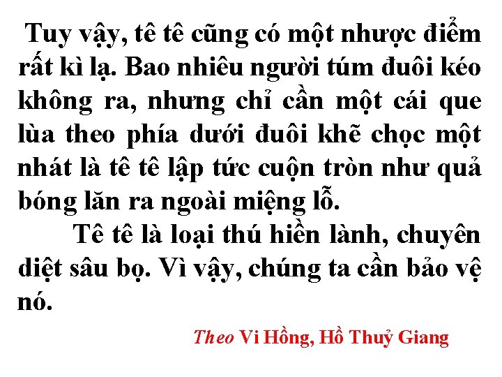 Tuy vậy, tê tê cũng có một nhược điểm rất kì lạ. Bao nhiêu