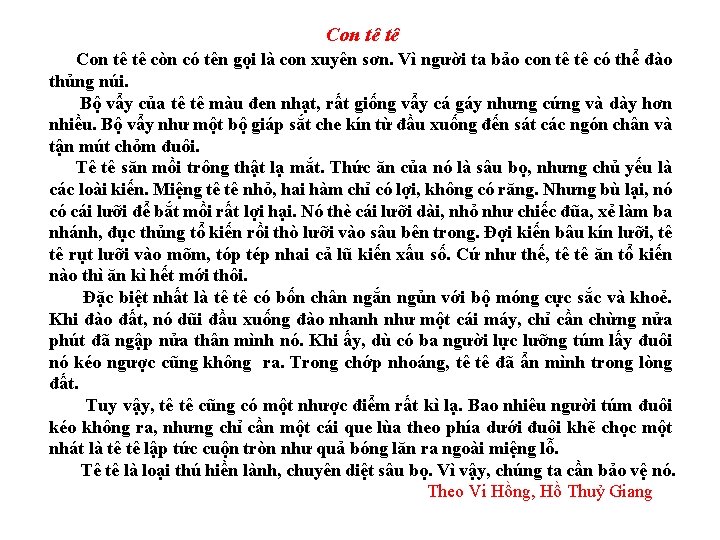 Con tê tê còn có tên gọi là con xuyên sơn. Vì người ta