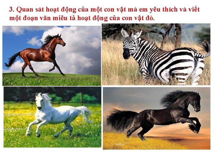 3. Quan sát hoạt động của một con vật mà em yêu thích và