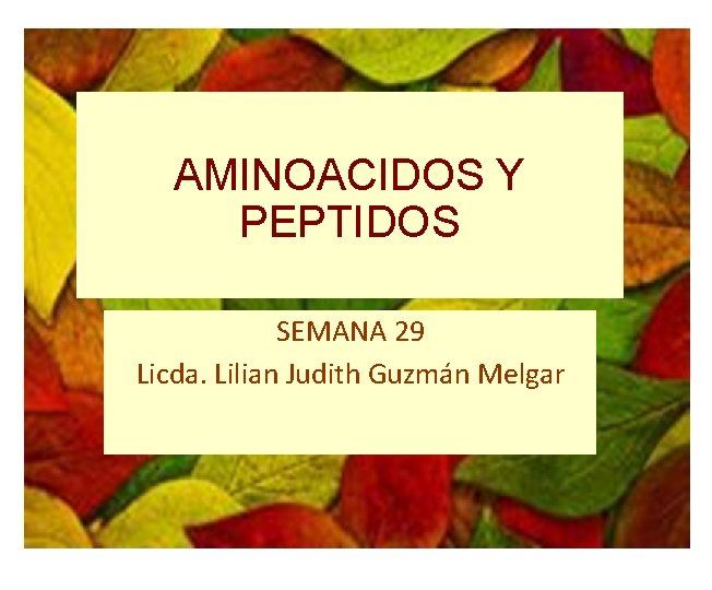 AMINOACIDOS Y PEPTIDOS SEMANA 29 Licda. Lilian Judith Guzmán Melgar 