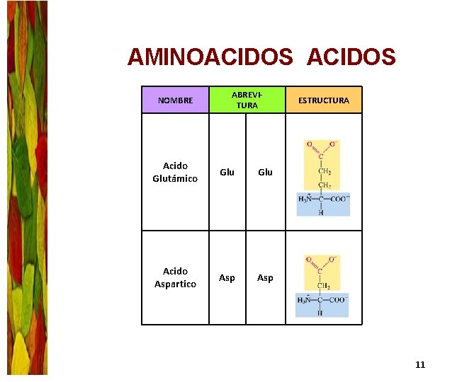 AMINOACIDOS NOMBRE ABREVITURA Acido Glutámico Glu Acido Aspartico Asp ESTRUCTURA 11 