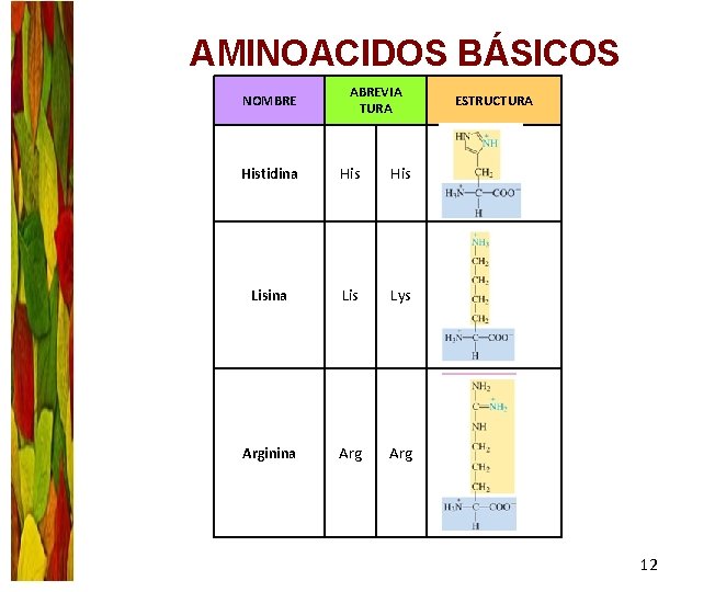 AMINOACIDOS BÁSICOS NOMBRE ABREVIA TURA Histidina His Lisina Lis Lys Arginina Arg ESTRUCTURA 12