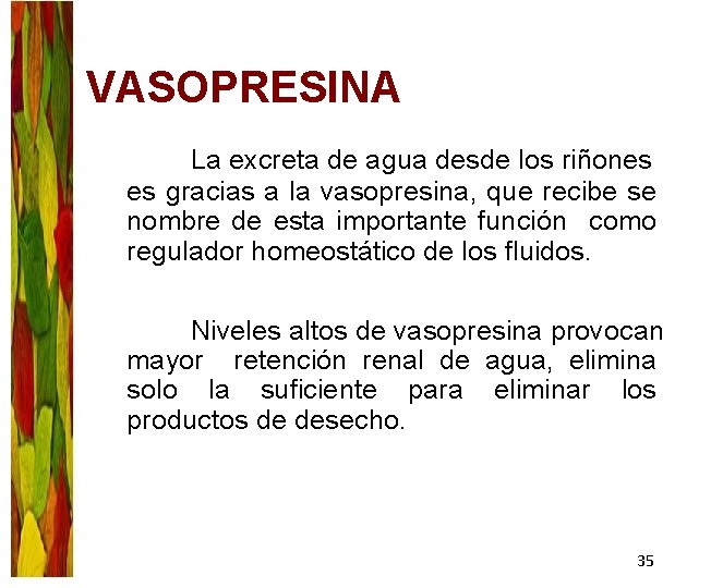 VASOPRESINA La excreta de agua desde los riñones es gracias a la vasopresina, que