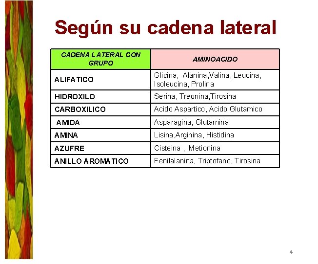 Según su cadena lateral CADENA LATERAL CON GRUPO AMINOACIDO ALIFATICO Glicina, Alanina, Valina, Leucina,