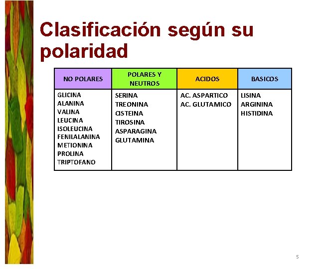 Clasificación según su polaridad NO POLARES GLICINA ALANINA VALINA LEUCINA ISOLEUCINA FENILALANINA METIONINA PROLINA