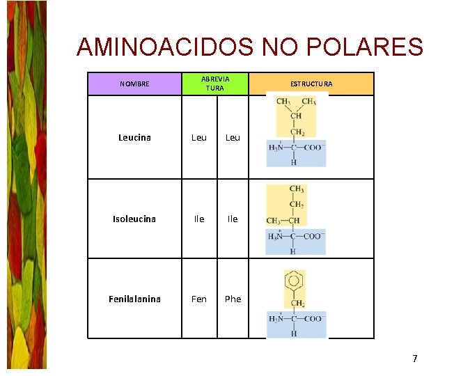 AMINOACIDOS NO POLARES NOMBRE ABREVIA TURA Leucina Leu Isoleucina Ile Fenilalanina Fen Phe ESTRUCTURA