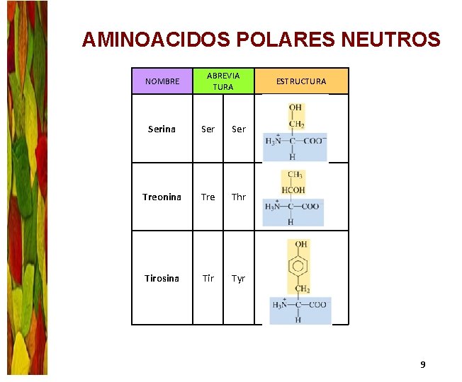 AMINOACIDOS POLARES NEUTROS NOMBRE ABREVIA TURA Serina Ser Treonina Tre Thr Tirosina Tir Tyr