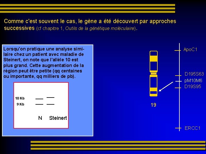 Comme c'est souvent le cas, le gène a été découvert par approches successives (cf