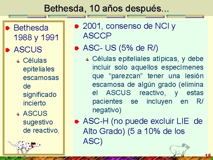 Bethesda, 10 años después. . . Bethesda 1988 y 1991 ASCUS Células epiteliales escamosas