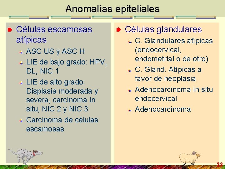 Anomalías epiteliales Células escamosas atípicas ASC US y ASC H LIE de bajo grado: