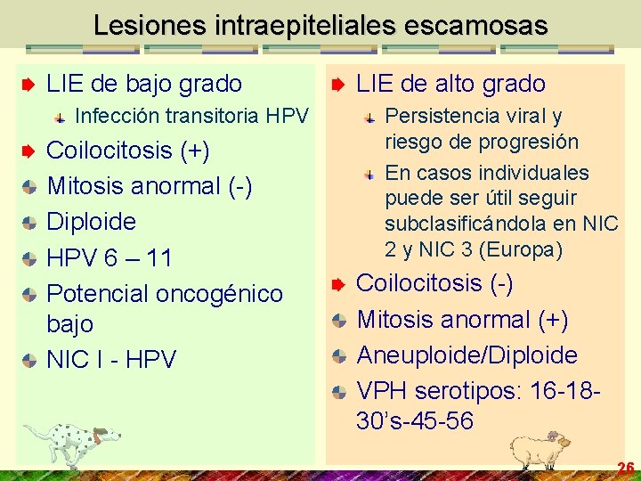Lesiones intraepiteliales escamosas LIE de bajo grado Infección transitoria HPV Coilocitosis (+) Mitosis anormal