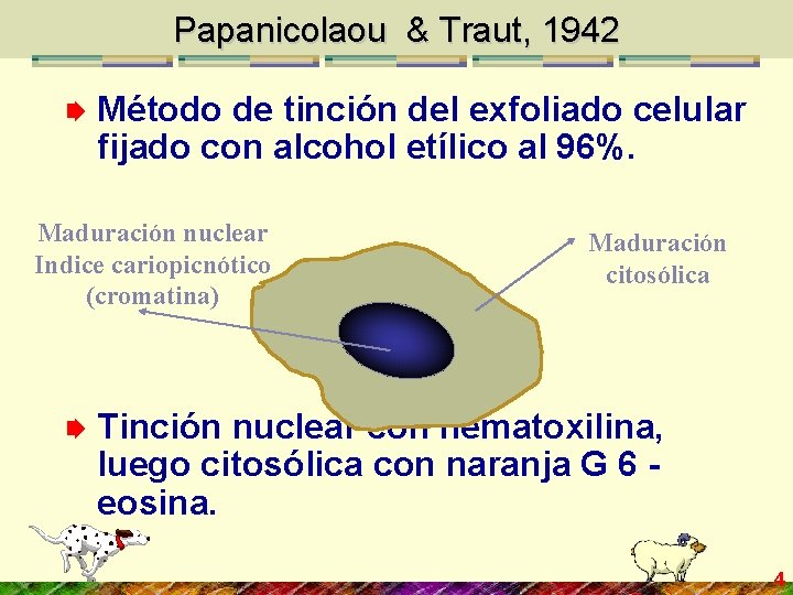 Papanicolaou & Traut, 1942 Método de tinción del exfoliado celular fijado con alcohol etílico