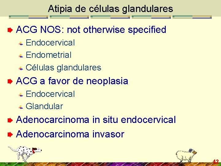 Atipia de células glandulares ACG NOS: not otherwise specified Endocervical Endometrial Células glandulares ACG