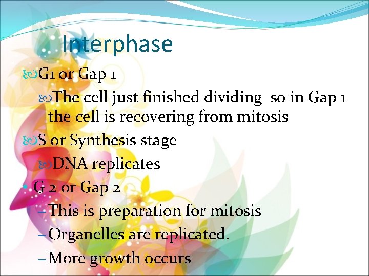 Interphase G 1 or Gap 1 The cell just finished dividing so in Gap