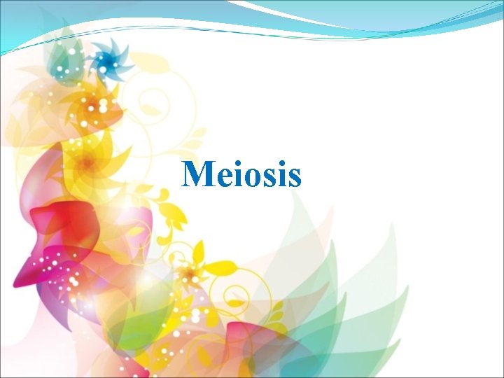 Meiosis 