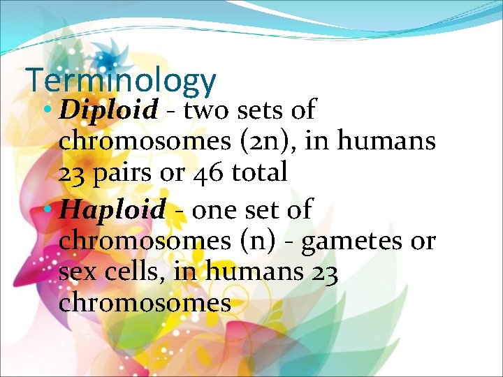 Terminology • Diploid - two sets of chromosomes (2 n), in humans 23 pairs