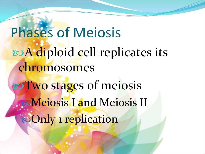 Phases of Meiosis A diploid cell replicates its chromosomes Two stages of meiosis Meiosis