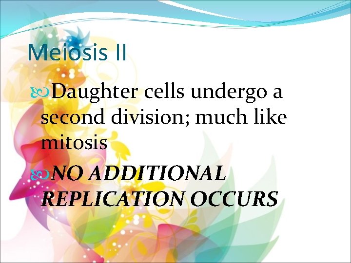 Meiosis II Daughter cells undergo a second division; much like mitosis NO ADDITIONAL REPLICATION