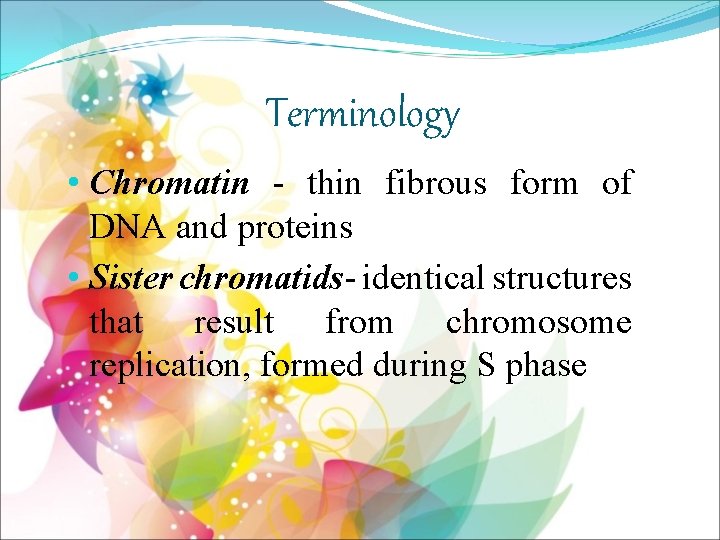 Terminology • Chromatin - thin fibrous form of DNA and proteins • Sister chromatids-