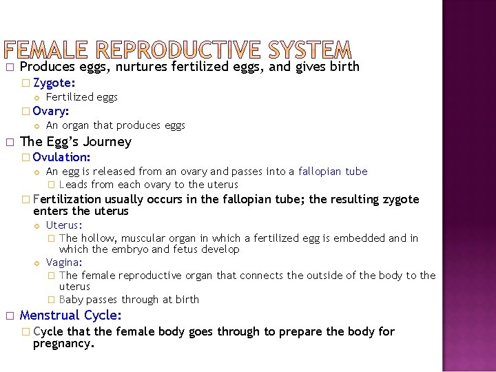 � Produces eggs, nurtures fertilized eggs, and gives birth � Zygote: Fertilized eggs �